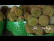 Fresh Durian at Market 2 2220